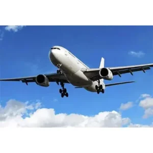 Services licensed by the Civil Aviation Organization